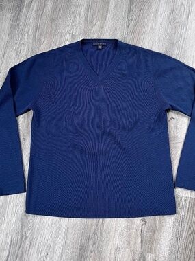 Banana Republic Sweater Mens Medium Cotton Silk Cashmere Blend VNeck blue